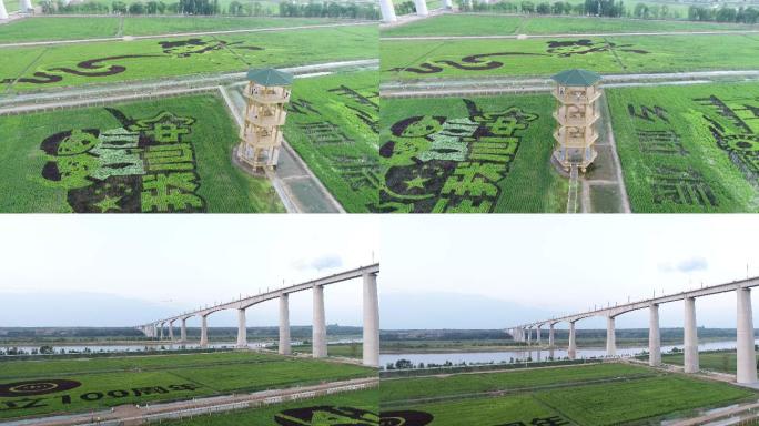 农田 稻鱼空间 乡村振兴