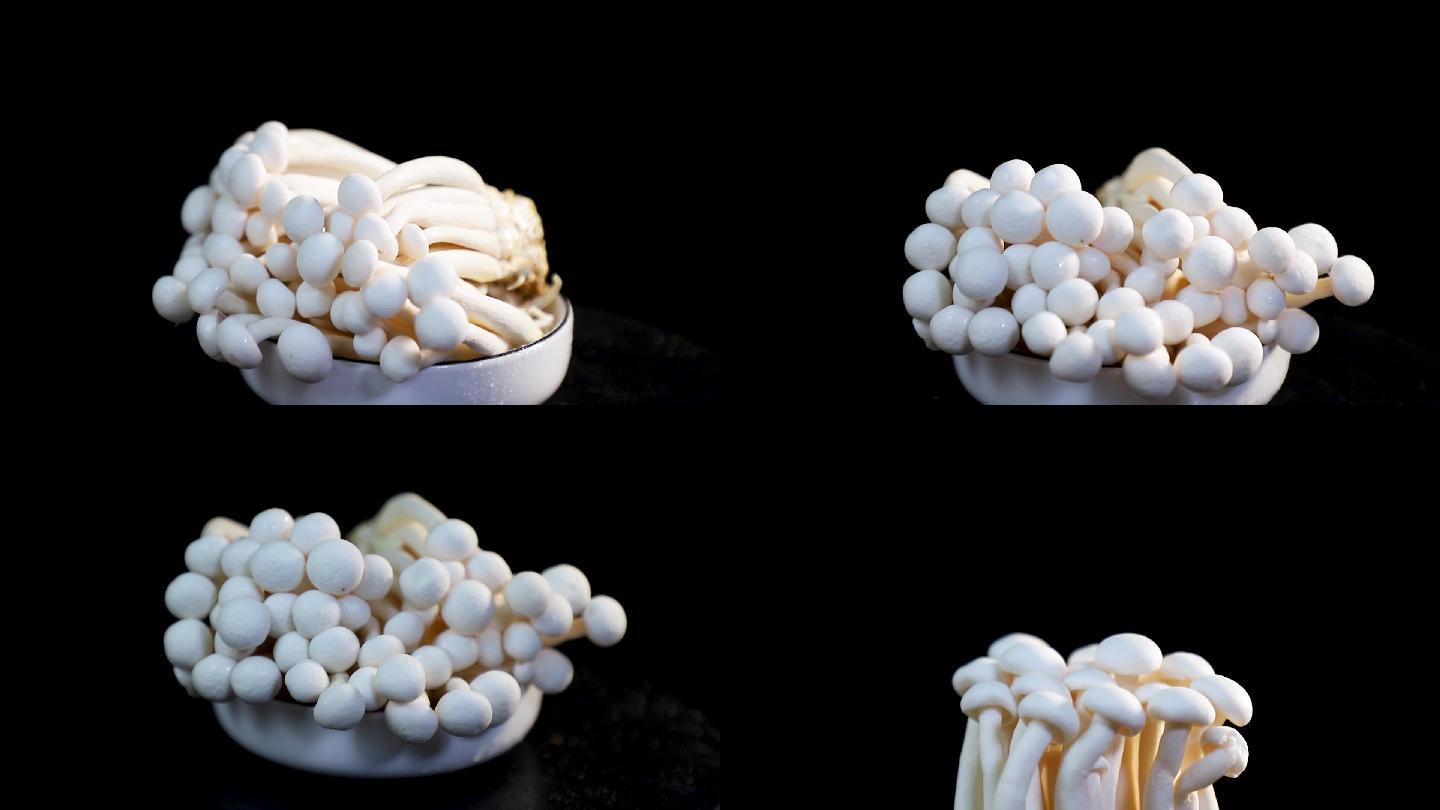 (原创50帧)蘑菇