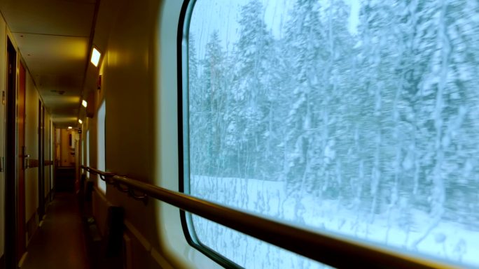 乘火车穿越冬季森林