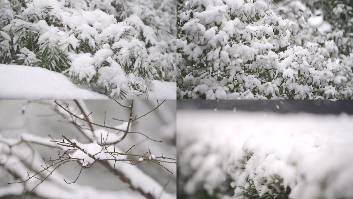 下雪飘雪唯美雪景通用素材