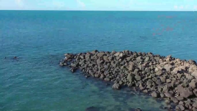 4k航拍海南岛海边风车风力发电海边礁石