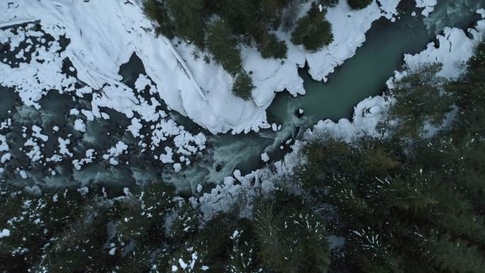 冬季河流和雪树鸟瞰图
