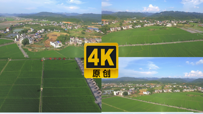 湖南安仁神农殿水稻田航拍4k