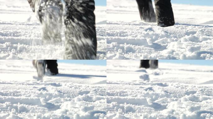 在深雪中艰难跋涉的双脚特写