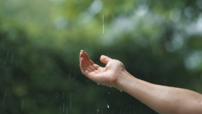 一只手上沾满了雨滴。