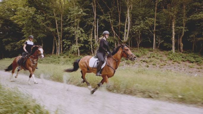 两名女骑手在茂密的森林旁骑行