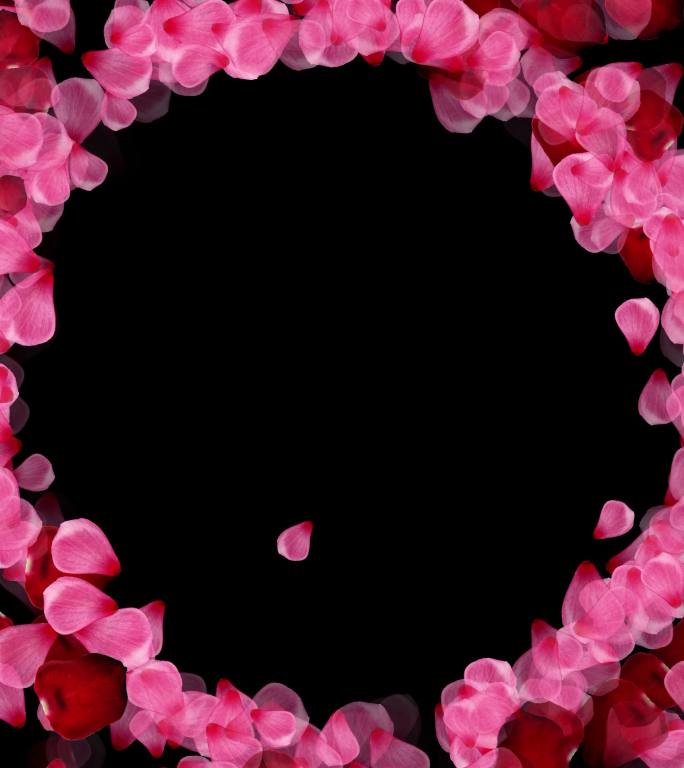情人节玫瑰花瓣圆形边框