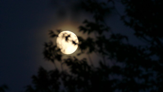 月亮在焦点上发光天空云层黑夜夜晚雷击乌云