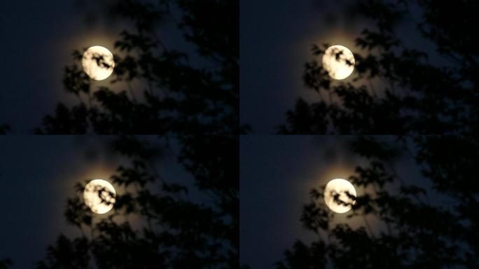 月亮在焦点上发光天空云层黑夜夜晚雷击乌云