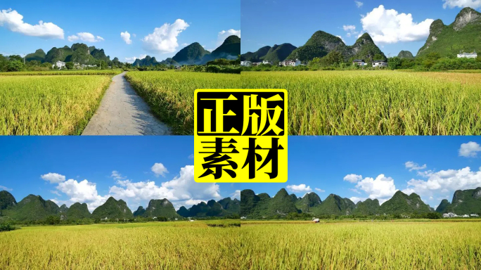 广西农村 田间小路 乡间小路 稻田 合集