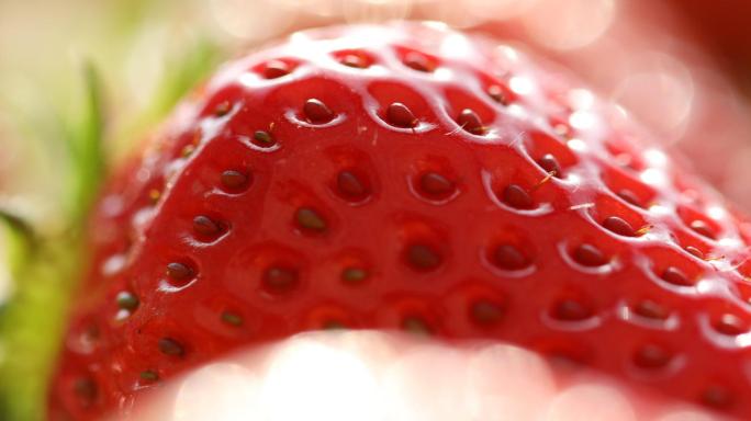 草莓4K