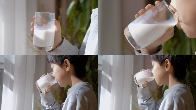 儿童喝牛奶牛奶素材骆驼奶奶粉