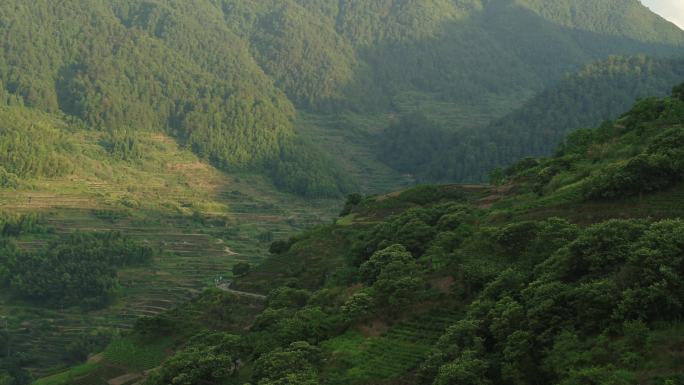 航拍浙江丽水山区毛竹山竹海信号塔移动电信