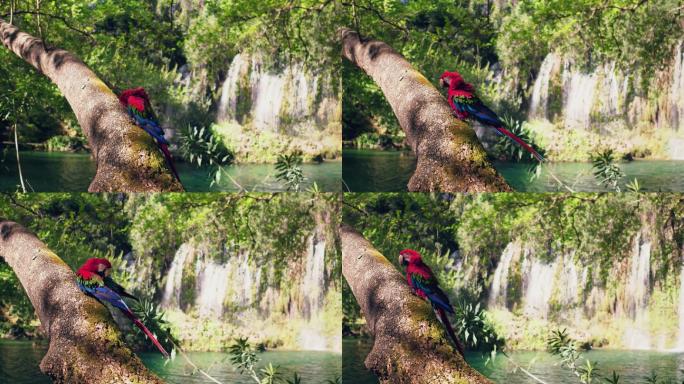 金刚鹦鹉青山绿水瀑布小河流水