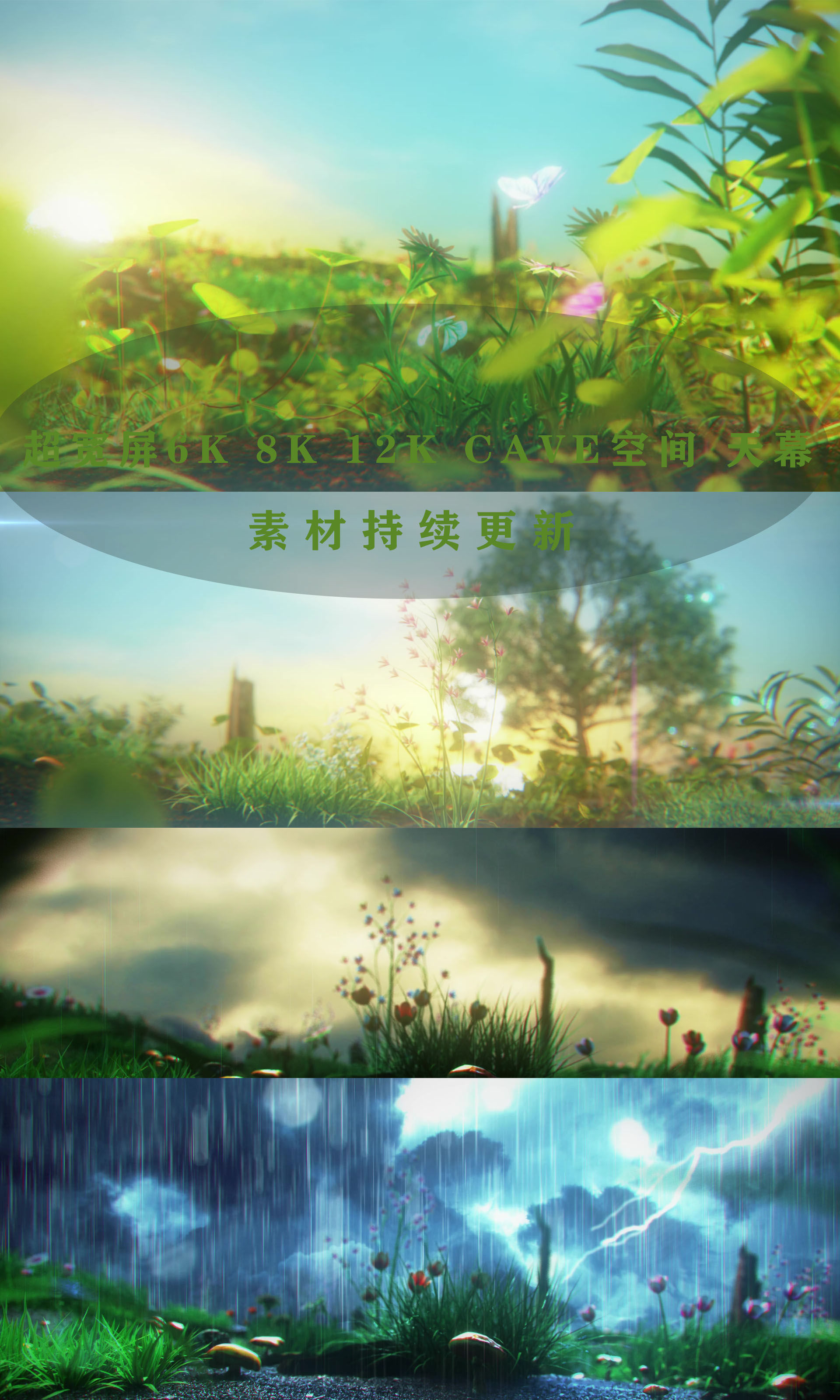 唯美四季生长_1920x768_高清视频素材下载(编号:7158699)_舞台背景_光