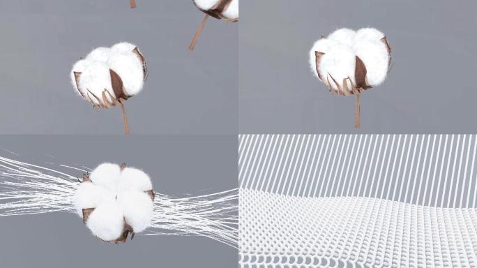 棉花 纤维 布料  棉线