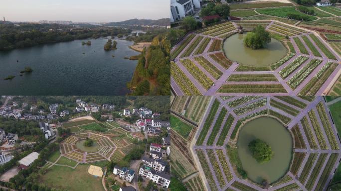 新农村 振兴乡村 乡村旅游