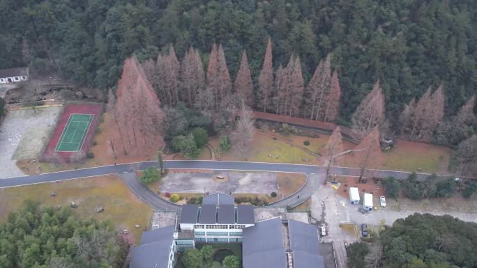 4k衢州开化钱江源古田山景区航拍