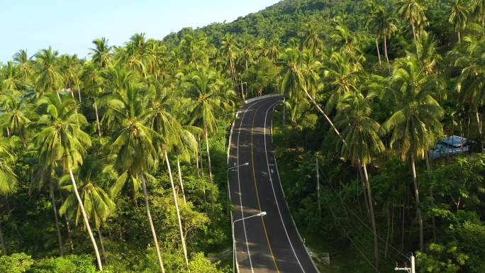 泰国热带森林中的道路