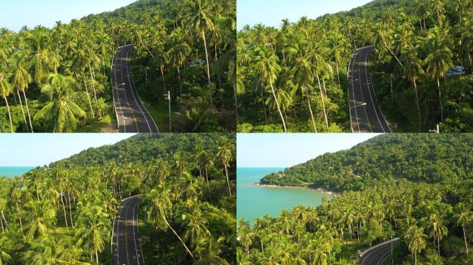 泰国热带森林中的道路
