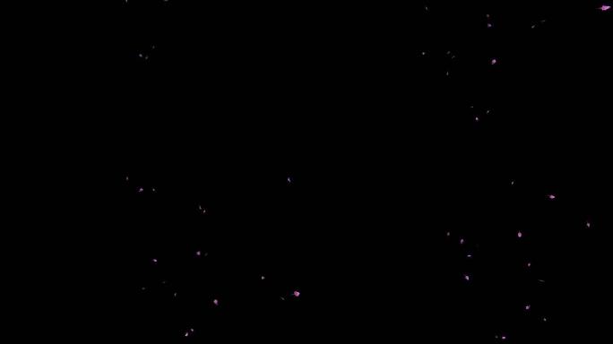 紫薇花瓣飘落动画