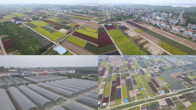 4K航拍 乡村振兴 农业茶叶种植智能灌溉