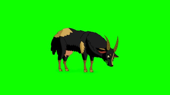 黑山羊动画通道视频素材牛羊