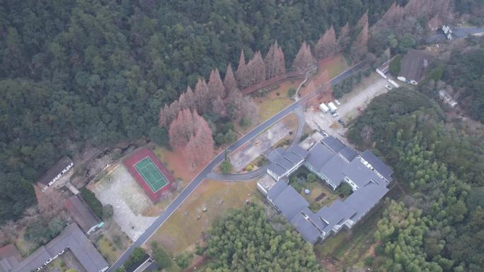 4k衢州开化钱江源古田山景区