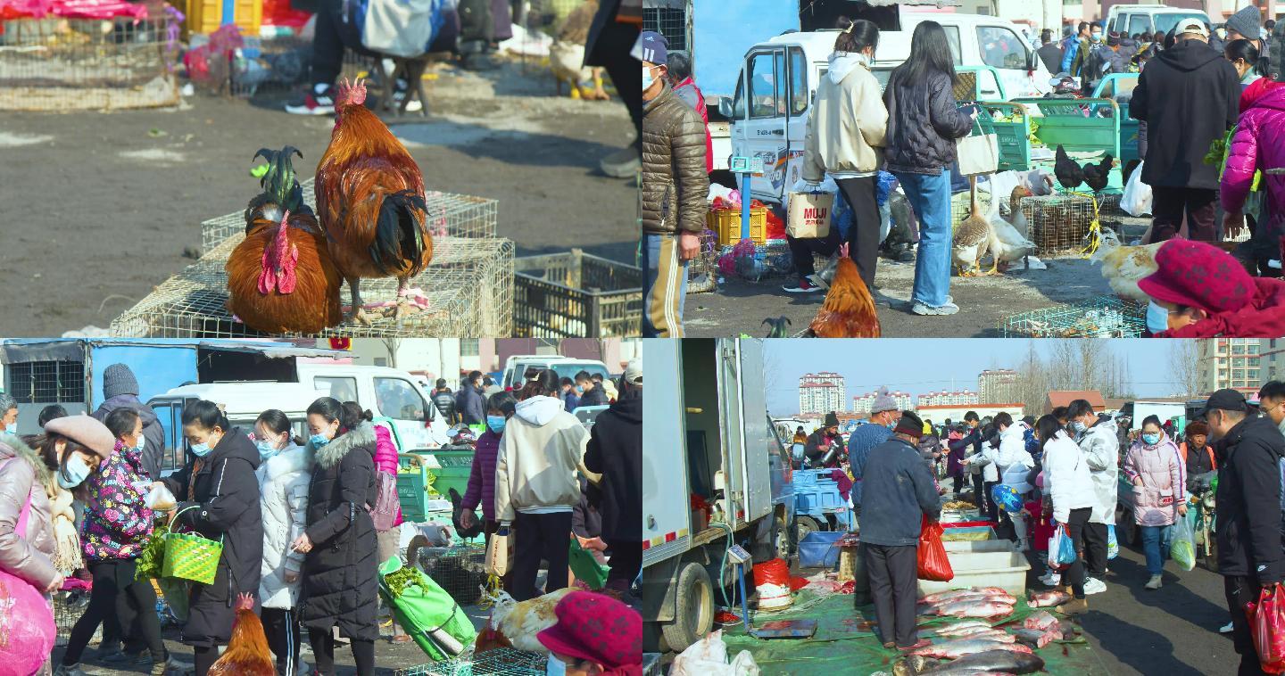 年底逛农村大集，买年货过春节4K