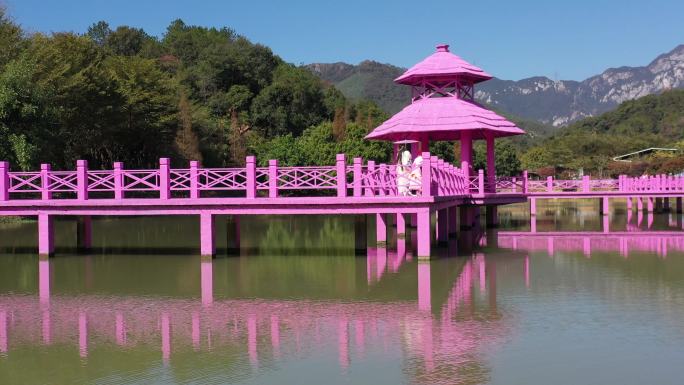 佛冈田野绿世界湖泊中水榭长廊粉红色幸福桥