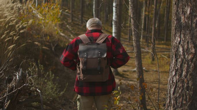 背包客独自在森林里行走