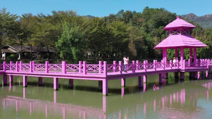 佛冈田野绿世界湖上水榭长廊粉红色幸福桥3