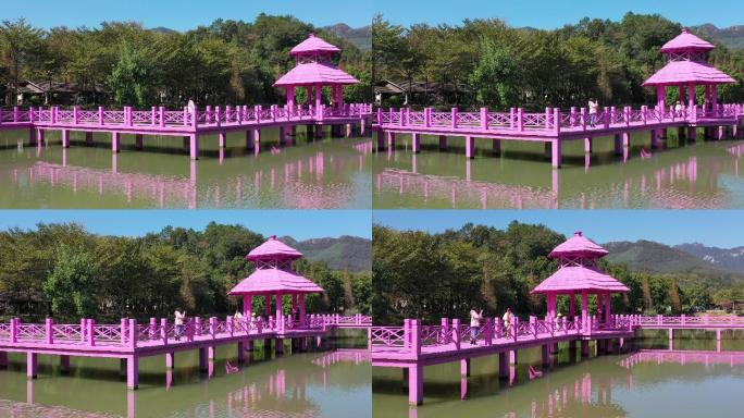 佛冈田野绿世界湖上水榭长廊粉红色幸福桥3