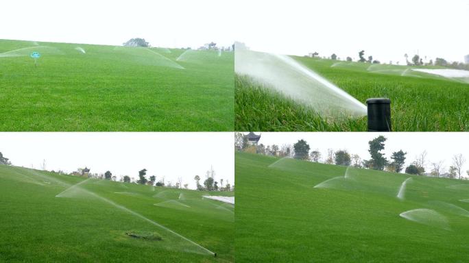 草坪自动灌溉