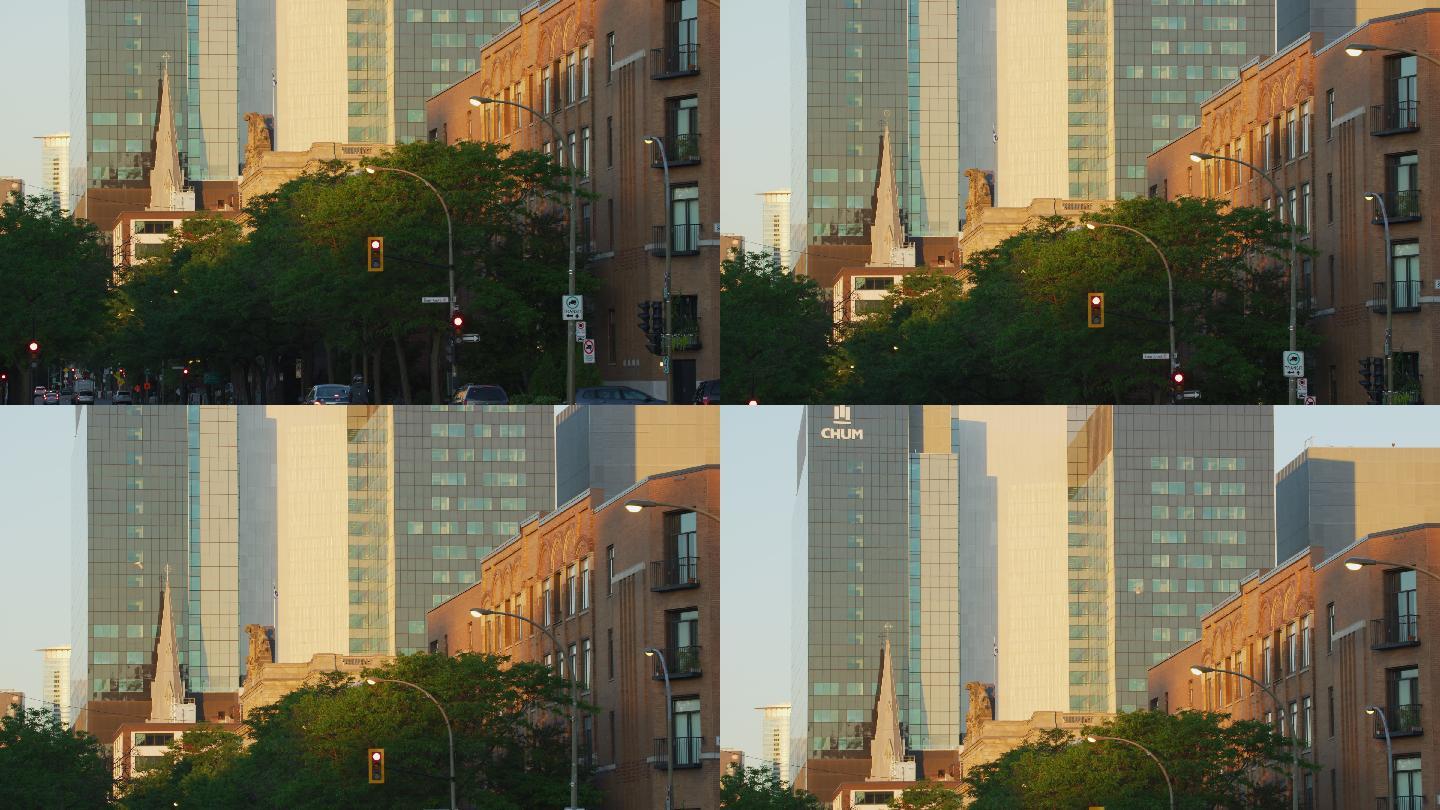城市建筑生长动画3d三维
