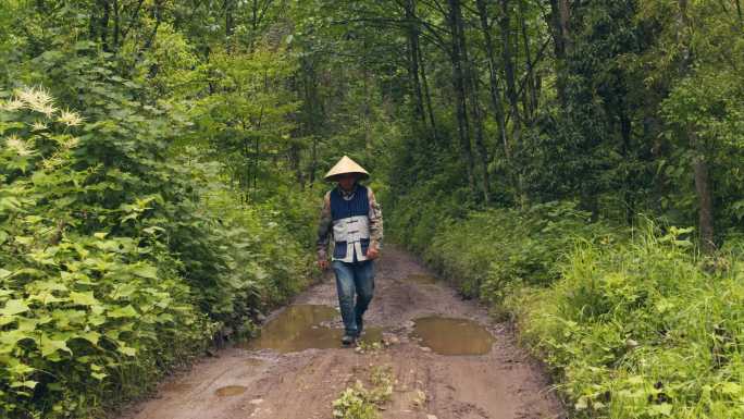 山区低角度航拍4K采茶工人