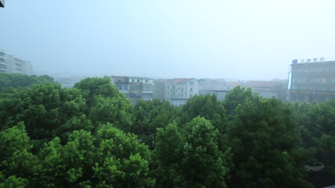 台风大风暴雨树密城市大雨原素材