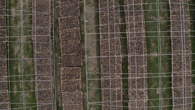 木耳晾晒农田种植大棚4K航拍
