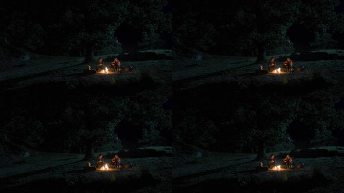 野外森林露营篝火视频