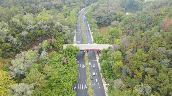 山间公路航拍