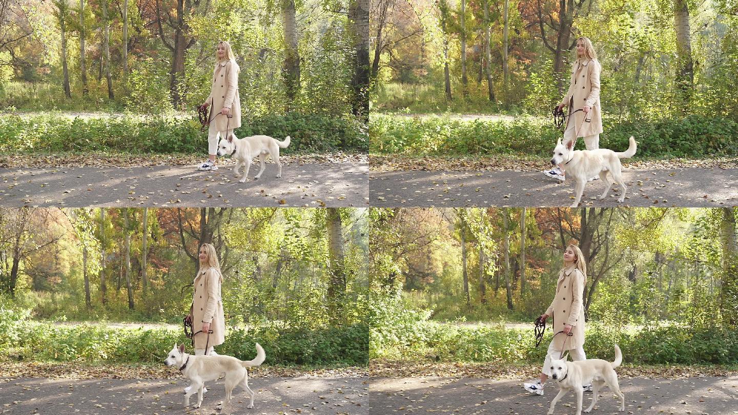 女人牵着狗在树林里散步