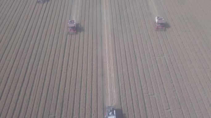 农村收割小麦子联合收割机农田地灰度航拍