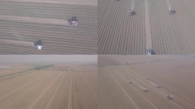 农村收割小麦子联合收割机农田地灰度航拍