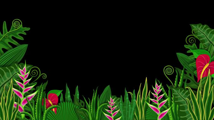 动画花卉框架卡通绿叶边框遮罩前景元素
