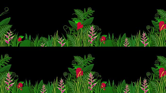 动画花卉框架卡通绿叶边框遮罩前景元素