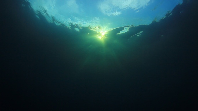 阳光照射在海洋表面的水下视频