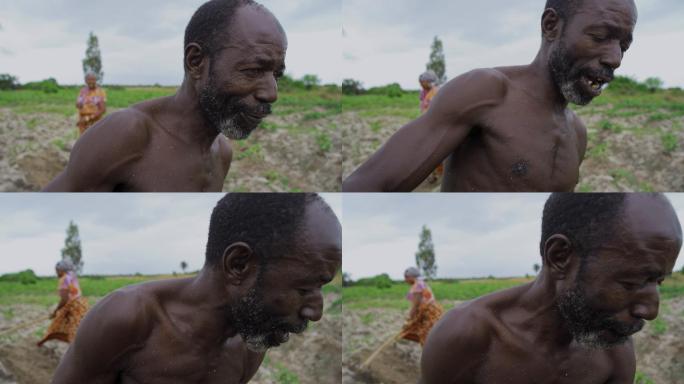 非洲农民用锄头清除菜地里的杂草