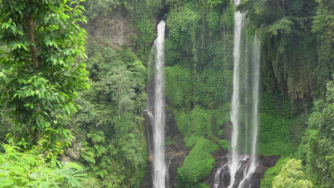美丽的热带瀑布。原始丛林花果山水幕水帘