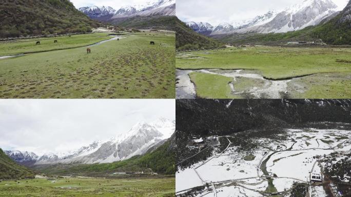 航拍稻城亚丁洛绒牛场雪山