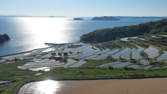 水田美景新农村建设扶贫乡村公路乡村振兴高